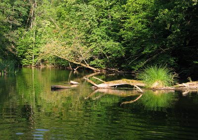 krutynia_20090326_2020343230