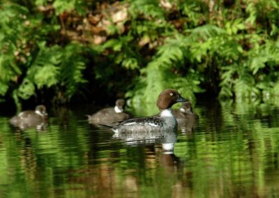 paddeln_in_polen_10_20130415_1259643994