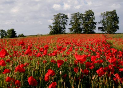 paddeln_in_polen_10_20130415_1804281996