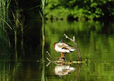 paddeln_in_polen_11_20130415_1330681028