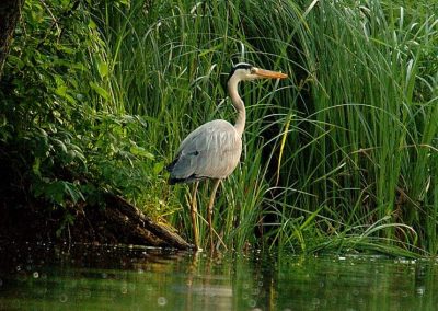 paddeln_in_polen_12_20130415_1907433150