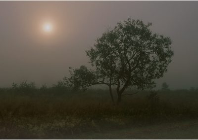 paddeln_in_polen_14_20130415_1427095881