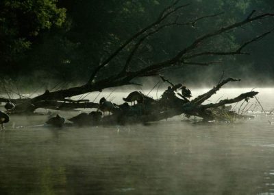 paddeln_in_polen_16_20130415_1298451046