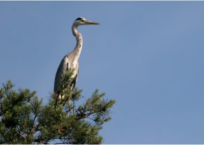 paddeln_in_polen_18_20130415_1946609563