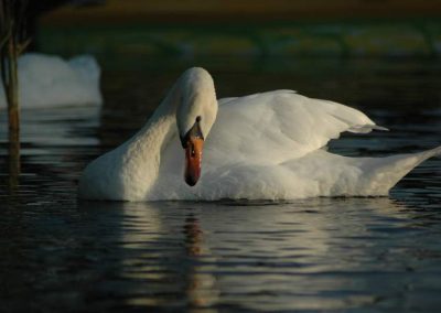 paddeln_in_polen_1_20130415_1569923030