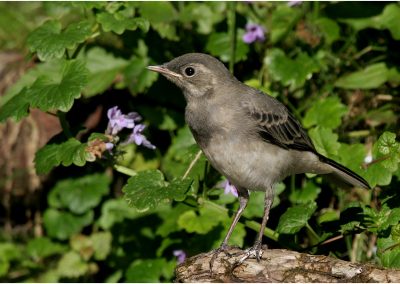 paddeln_in_polen_22_20130415_1624817134