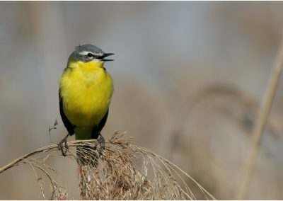 paddeln_in_polen_24_20130415_1334958946