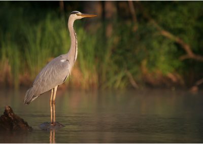 paddeln_in_polen_25_20130415_1365874504