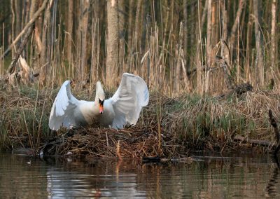 paddeln_in_polen_26_20130415_1818474480