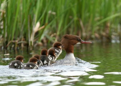 paddeln_in_polen_28_20130415_2041947650