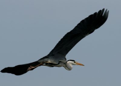 paddeln_in_polen_29_20130415_1235701607