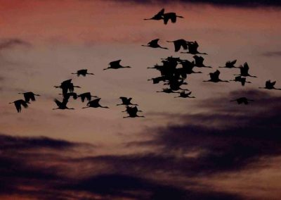 paddeln_in_polen_2_20130415_1375210648