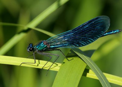 paddeln_in_polen_32_20130415_2097202670