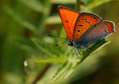 paddeln_in_polen_33_20130415_1739146266