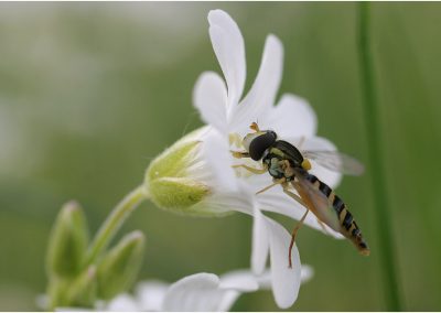 paddeln_in_polen_34_20130415_1776894693