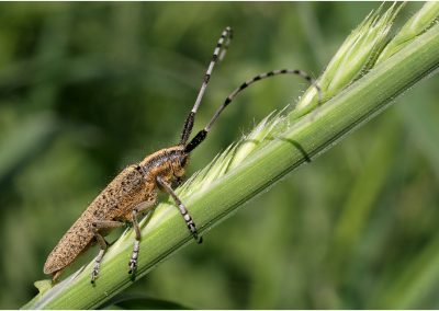 paddeln_in_polen_35_20130415_1579929659