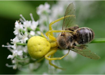 paddeln_in_polen_36_20130415_1784696395