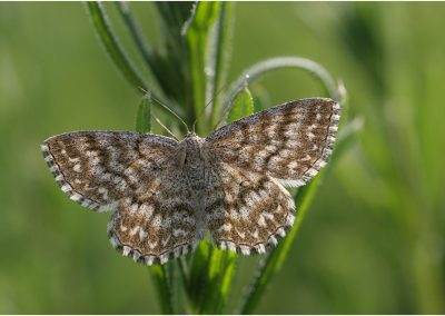 paddeln_in_polen_40_20130415_1037694369