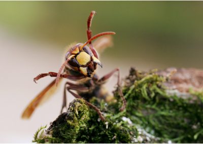 paddeln_in_polen_41_20130415_1589571815