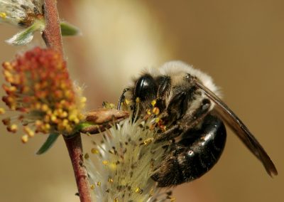 paddeln_in_polen_44_20130415_1132360333