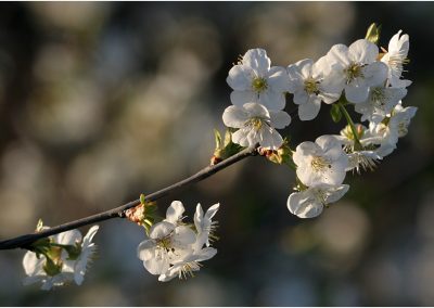 paddeln_in_polen_4_20130415_2001584923
