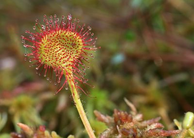 paddeln_in_polen_5_20130415_1343898232